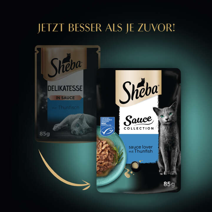 Sheba Katzen-Nassfutter Collection Sauce Lover mit Thunfisch MSC